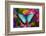 Blue Morpho Butterfly on pink Orchid-Darrell Gulin-Framed Photographic Print