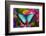 Blue Morpho Butterfly on pink Orchid-Darrell Gulin-Framed Photographic Print