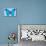 Blue Morpho Butterfly-Dr. Keith Wheeler-Mounted Photographic Print displayed on a wall