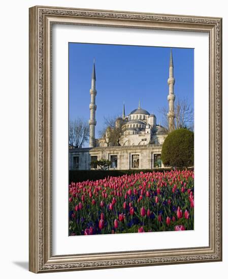 Blue Mosque, also known as the Sultanahmet Mosque, Gives its Name to the Surrounding Area-Julian Love-Framed Photographic Print