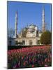 Blue Mosque, also known as the Sultanahmet Mosque, Gives its Name to the Surrounding Area-Julian Love-Mounted Photographic Print