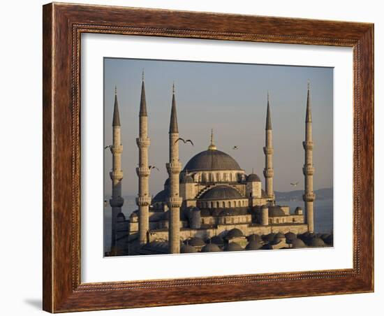 Blue Mosque, Istanbul, also known as the Sultanhamet Mosque, Gives its Name to the Surrounding Area-Julian Love-Framed Photographic Print