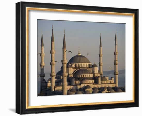 Blue Mosque, Istanbul, also known as the Sultanhamet Mosque, Gives its Name to the Surrounding Area-Julian Love-Framed Photographic Print