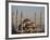 Blue Mosque, Istanbul, also known as the Sultanhamet Mosque, Gives its Name to the Surrounding Area-Julian Love-Framed Photographic Print