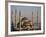 Blue Mosque, Istanbul, also known as the Sultanhamet Mosque, Gives its Name to the Surrounding Area-Julian Love-Framed Photographic Print