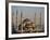 Blue Mosque, Istanbul, also known as the Sultanhamet Mosque, Gives its Name to the Surrounding Area-Julian Love-Framed Photographic Print