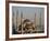 Blue Mosque, Istanbul, also known as the Sultanhamet Mosque, Gives its Name to the Surrounding Area-Julian Love-Framed Photographic Print