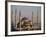 Blue Mosque, Istanbul, also known as the Sultanhamet Mosque, Gives its Name to the Surrounding Area-Julian Love-Framed Photographic Print