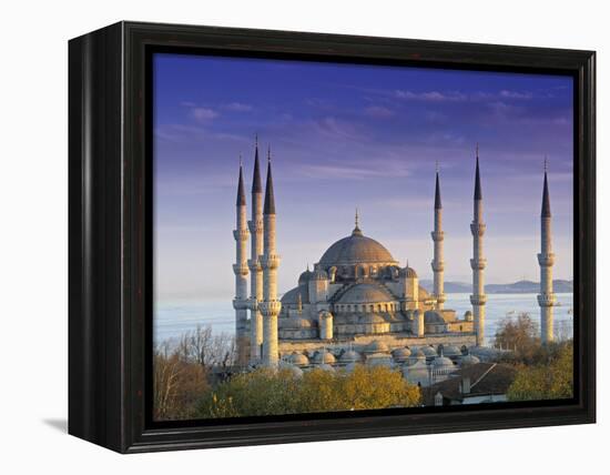 Blue Mosque, Istanbul, Turkey-Peter Adams-Framed Premier Image Canvas