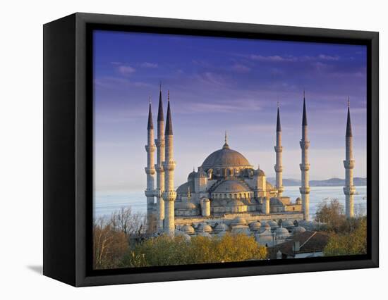 Blue Mosque, Istanbul, Turkey-Peter Adams-Framed Premier Image Canvas