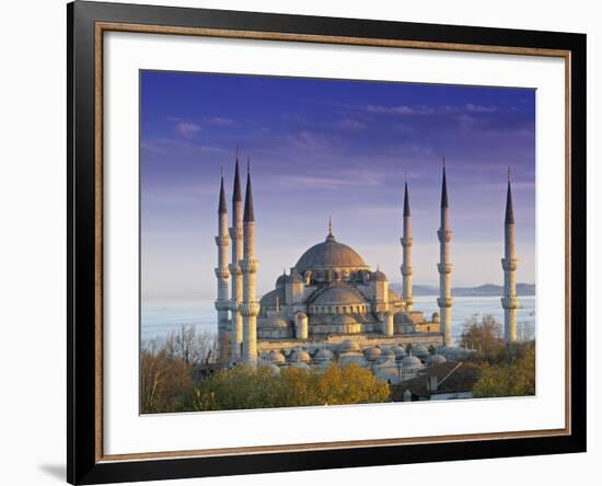 Blue Mosque, Istanbul, Turkey-Peter Adams-Framed Photographic Print