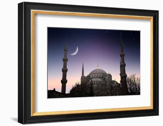 Blue Mosque - Istanbul / Turkey-PlusONE-Framed Photographic Print