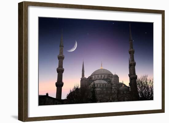 Blue Mosque - Istanbul / Turkey-PlusONE-Framed Photographic Print