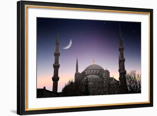 Blue Mosque - Istanbul / Turkey-PlusONE-Framed Photographic Print