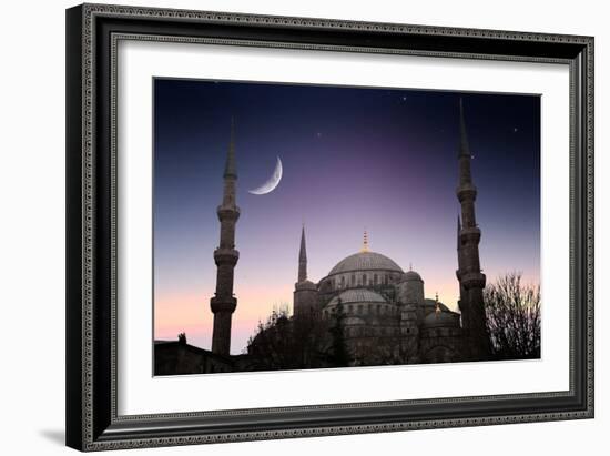 Blue Mosque - Istanbul / Turkey-PlusONE-Framed Photographic Print