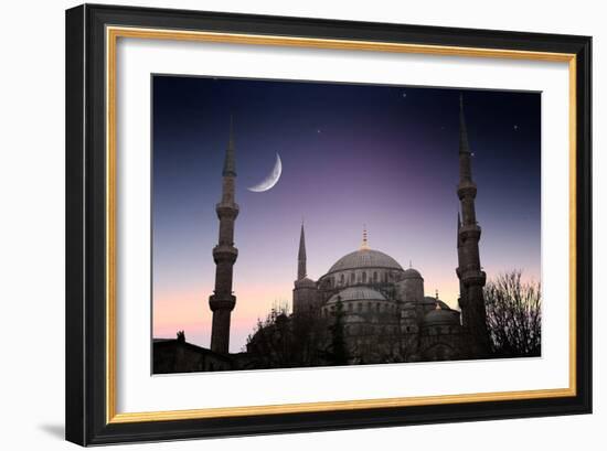 Blue Mosque - Istanbul / Turkey-PlusONE-Framed Photographic Print