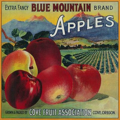 'Blue Mountain Apple Crate Label Cove, OR' Art Print Lantern Press