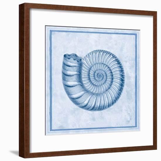 Blue Nautilus B-Sarah E. Chilton-Framed Art Print