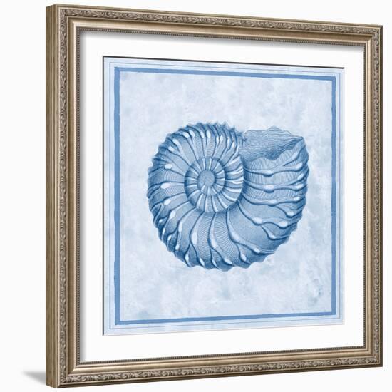 Blue Nautilus C-Sarah E. Chilton-Framed Art Print