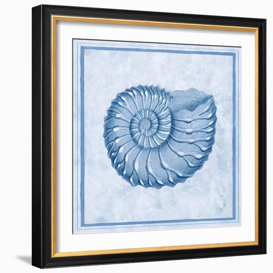 Blue Nautilus C-Sarah E. Chilton-Framed Art Print