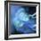 Blue Nebula-null-Framed Art Print