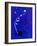 Blue Night-Hyunah Kim-Framed Art Print