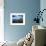 Blue Nights-Josh Adamski-Framed Photographic Print displayed on a wall