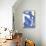 Blue Nude I, c.1952-Henri Matisse-Mounted Art Print displayed on a wall