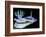 Blue Nudibranch, Glorious Sulawesi-Charles Glover-Framed Art Print