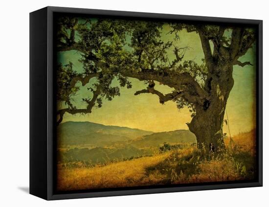 Blue Oak Hilltop-William Guion-Framed Premier Image Canvas