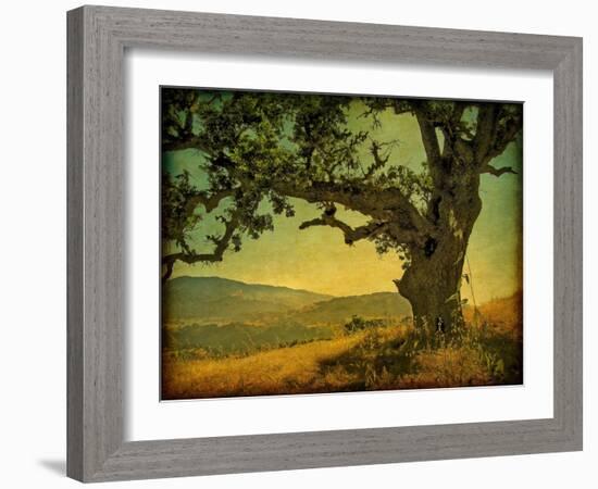 Blue Oak Hilltop-William Guion-Framed Photographic Print