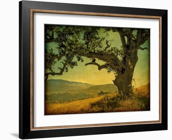 Blue Oak Hilltop-William Guion-Framed Photographic Print