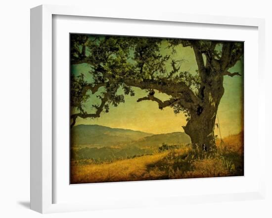 Blue Oak Hilltop-William Guion-Framed Photographic Print