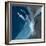 Blue Ocean Dance I-Lanie Loreth-Framed Premium Giclee Print