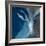 Blue Ocean Dance I-Lanie Loreth-Framed Premium Giclee Print