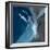 Blue Ocean Dance I-Lanie Loreth-Framed Premium Giclee Print