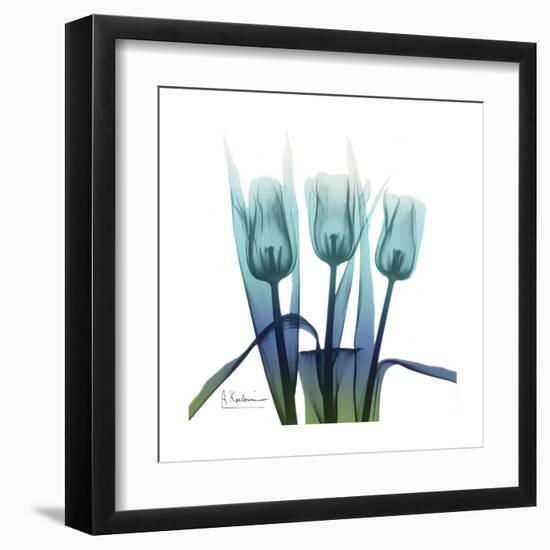 Blue Ombre Tulips-Albert Koetsier-Framed Art Print