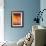Blue Orange-Heidi Westum-Framed Photographic Print displayed on a wall