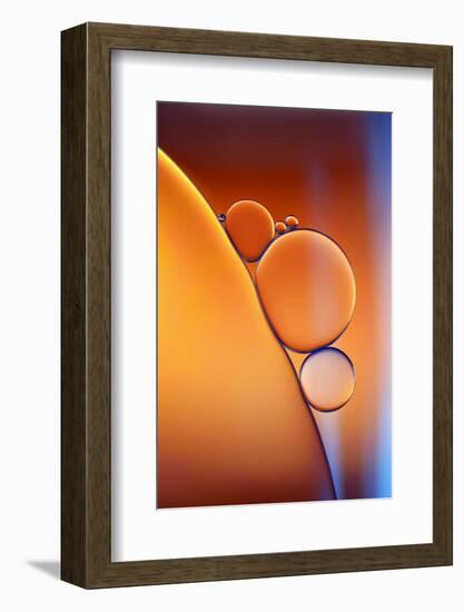 Blue Orange-Heidi Westum-Framed Photographic Print