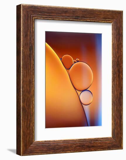 Blue Orange-Heidi Westum-Framed Photographic Print