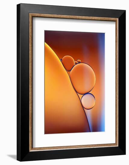 Blue Orange-Heidi Westum-Framed Photographic Print