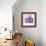 Blue Orchid-null-Framed Art Print displayed on a wall