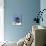 Blue Outhouse-Debbie McMaster-Mounted Giclee Print displayed on a wall