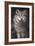 Blue Owl - Wolf-Penny Wagner-Framed Giclee Print