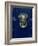 Blue Painted Door and Knocker in the Centre of the City of Dublin, Eire, Europe-Gavin Hellier-Framed Photographic Print