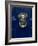 Blue Painted Door and Knocker in the Centre of the City of Dublin, Eire, Europe-Gavin Hellier-Framed Photographic Print