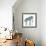 Blue Painted Pony-Wyanne-Framed Giclee Print displayed on a wall