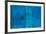 Blue Painting-Patrick Heron-Framed Serigraph