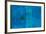 Blue Painting-Patrick Heron-Framed Serigraph