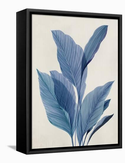 Blue Palm Leaves I-Aria K-Framed Stretched Canvas